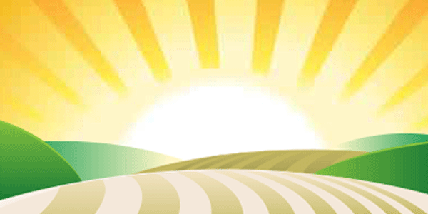 L’alba del nuovo mutuo. Check di metà anno OF OSSERVATORIO FINANZIARIO 